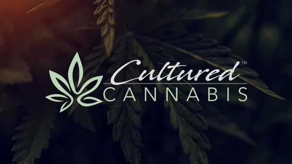 Cultured Cannabis - cover image