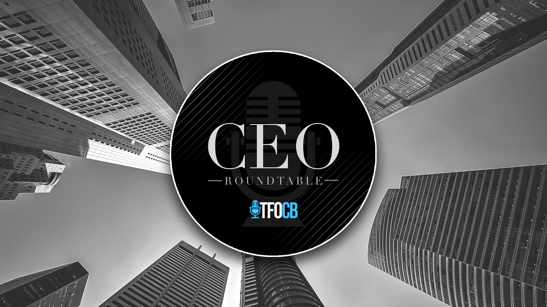CEO Roundtable - cover image