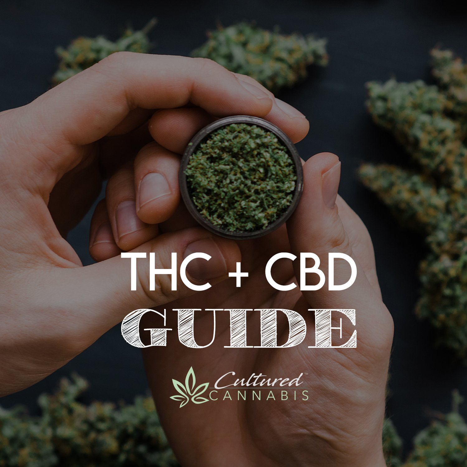 cultured cannabis thc + cbd guide
